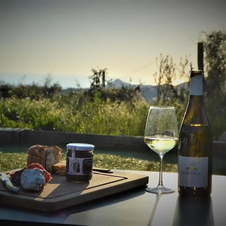 Villa Petru & Rosa ****